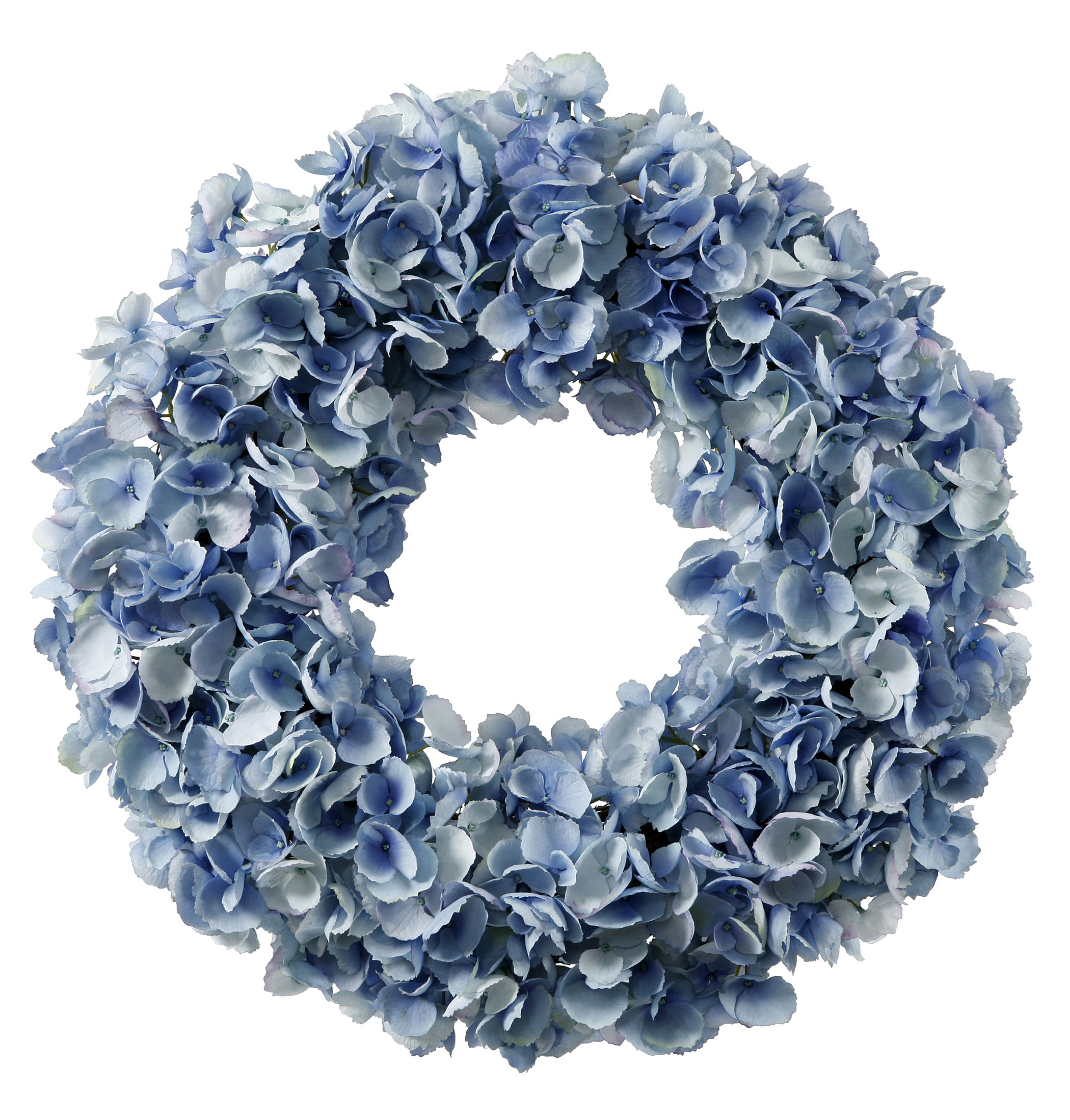 Jane Seymour Botanicals Dried Hydrangea 24" Wreath & Reviews Wayfair